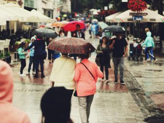 people-umbrella-rain-pedestrian-street-snapshot-1521071-pxhere.com