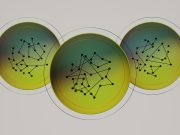 Altı Sayfalık Zarif Kanıt, Rastgele Yapının Ortaya Çıkışını Göz önüne seriyor