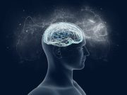 Roger Penrose ve Kuantum Zihinler