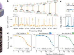 Silisyum Tabanlı Kuantum İşlemcide Grover Algoritması Başarıyla Çalıştırıldı