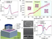 Kuantum Parçacıkları Faz Geçişinde Nasıl Birleşip Ayrılıyor? Bilim İnsanları Açıklıyor
