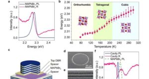 Kuantum Parçacıkları Faz Geçişinde Nasıl Birleşip Ayrılıyor? Bilim İnsanları Açıklıyor