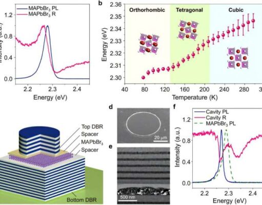 Kuantum Parçacıkları Faz Geçişinde Nasıl Birleşip Ayrılıyor? Bilim İnsanları Açıklıyor
