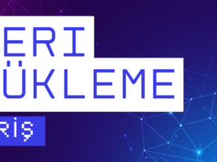 Kuantum Devresine Veri Aktarımı